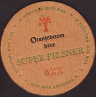 Bierdeckeloranjeboom-77