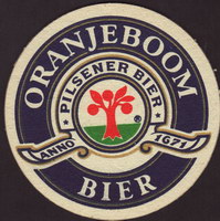 Bierdeckeloranjeboom-84