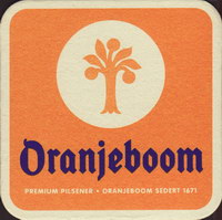 Bierdeckeloranjeboom-86-small