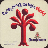 Bierdeckeloranjeboom-89