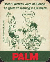 Bierdeckelpalm-139