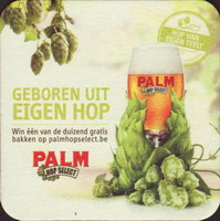 Beer coaster palm-164