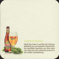 Bierdeckelpalm-164-zadek