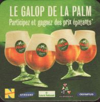 Beer coaster palm-244