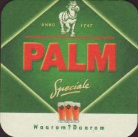 Bierdeckelpalm-250-small