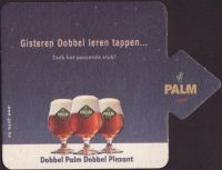 Bierdeckelpalm-283-small