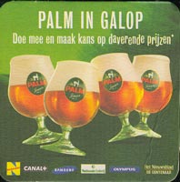 Bierdeckelpalm-4