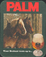 Bierdeckelpalm-67