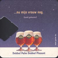 Bierdeckelpalm-8