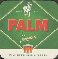 Bierdeckelpalm-87-small