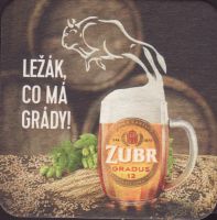 Beer coaster prerov-59