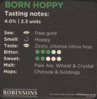 Pivní tácek robinsons-63-zadek