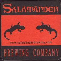 Bierdeckelsalamander-1-small