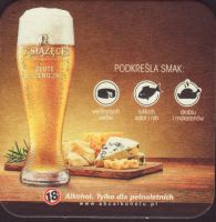 Beer coaster tyskie-113-zadek