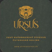 Bierdeckelursus-15