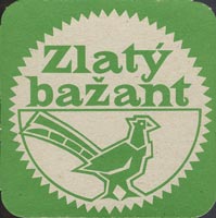 Pivní tácek zlaty-bazant-1-zadek